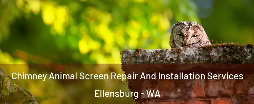  Chimney Animal Screen Repair And Installation Services Ellensburg - WA