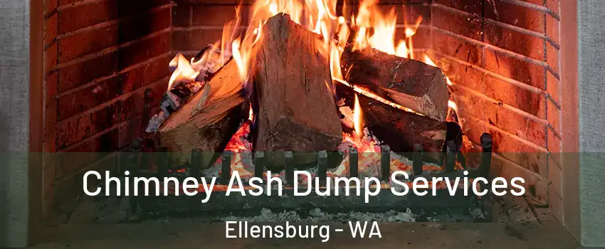  Chimney Ash Dump Services Ellensburg - WA