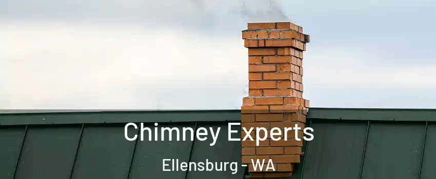 Chimney Experts Ellensburg - WA