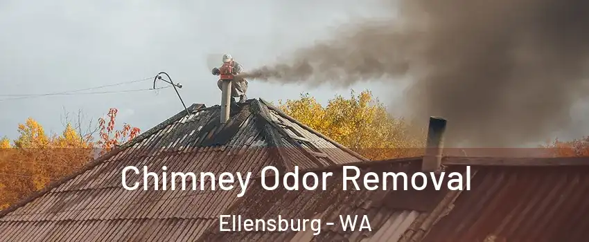  Chimney Odor Removal Ellensburg - WA