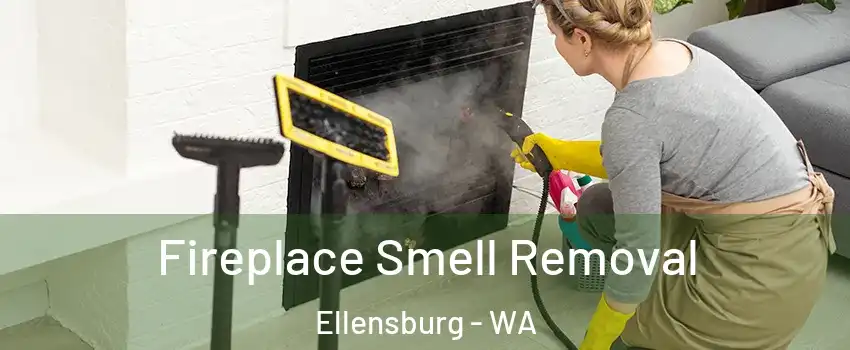  Fireplace Smell Removal Ellensburg - WA