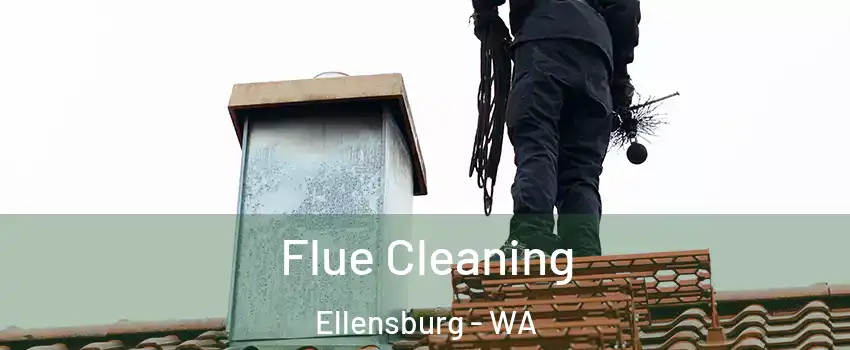  Flue Cleaning Ellensburg - WA