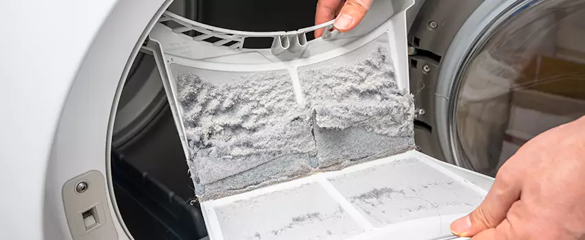 Best Dryer Lint Removal Company in Ellensburg, Washington