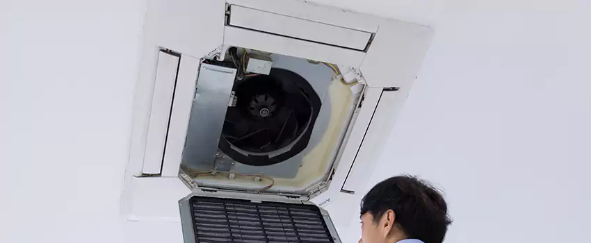 Benefits of Professional Air Duct Cleaning in Ellensburg, Washington