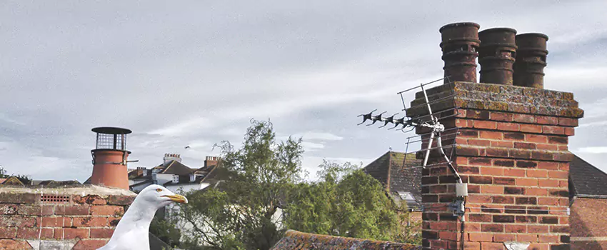 Chimney Cleaning And Restoration in Ellensburg, Washington