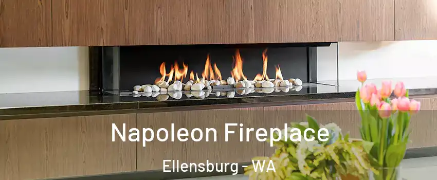  Napoleon Fireplace Ellensburg - WA