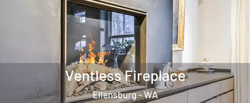  Ventless Fireplace Ellensburg - WA